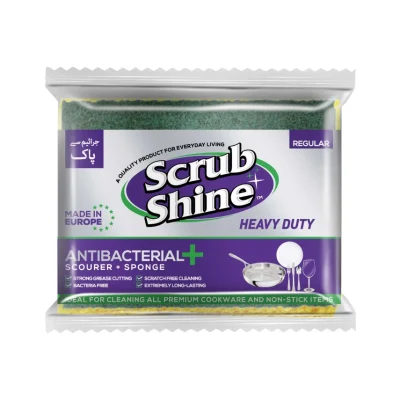   Scrub Shine Antibacterial Scouring Sponge Regular