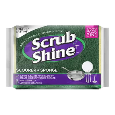 Scrub Shine Scourer Sponge 2 in 1